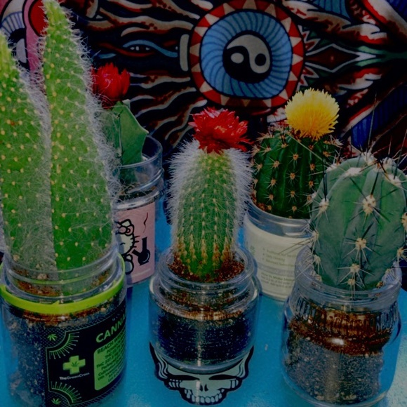 🦄☠️🎀🤠🍭 - Picture 4 of 8